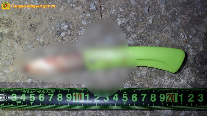 Lạnh người lời khai ban đầu của 4 đối tượng người Trung Quốc sát hại lái xe taxi ở Lạng Sơn - Ảnh 2. Lạnh người lời khai ban đầu của 4 đối tượng người Trung Quốc sát hại lái xe taxi ở Lạng Sơn - Ảnh 2.