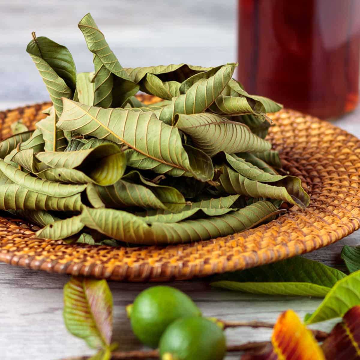 guava-tea-leaves-dried-1761643848925-17616438490681450471244.jpg