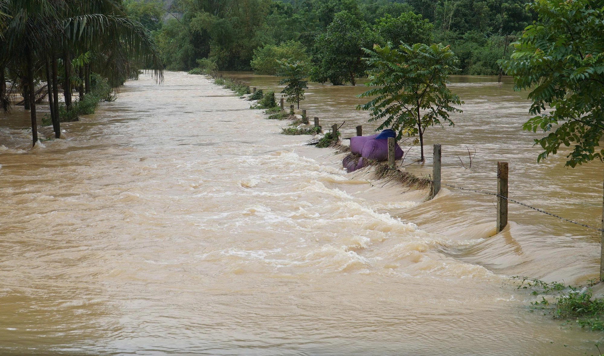 Đà Nẵng: Nữ công nhân tử vong do lũ cuốn khi trở về nhà - Ảnh 4. Đà Nẵng: Nữ công nhân tử vong do lũ cuốn khi trở về nhà - Ảnh 4.