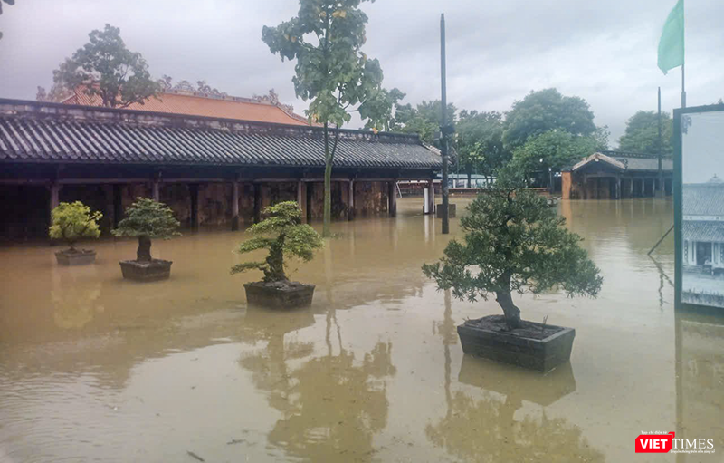 Thương lắm cảnh tượng ở Di tích Cố đô Huế ngày 28/10- Ảnh 12. Thương lắm cảnh tượng ở Di tích Cố đô Huế ngày 28/10- Ảnh 12.