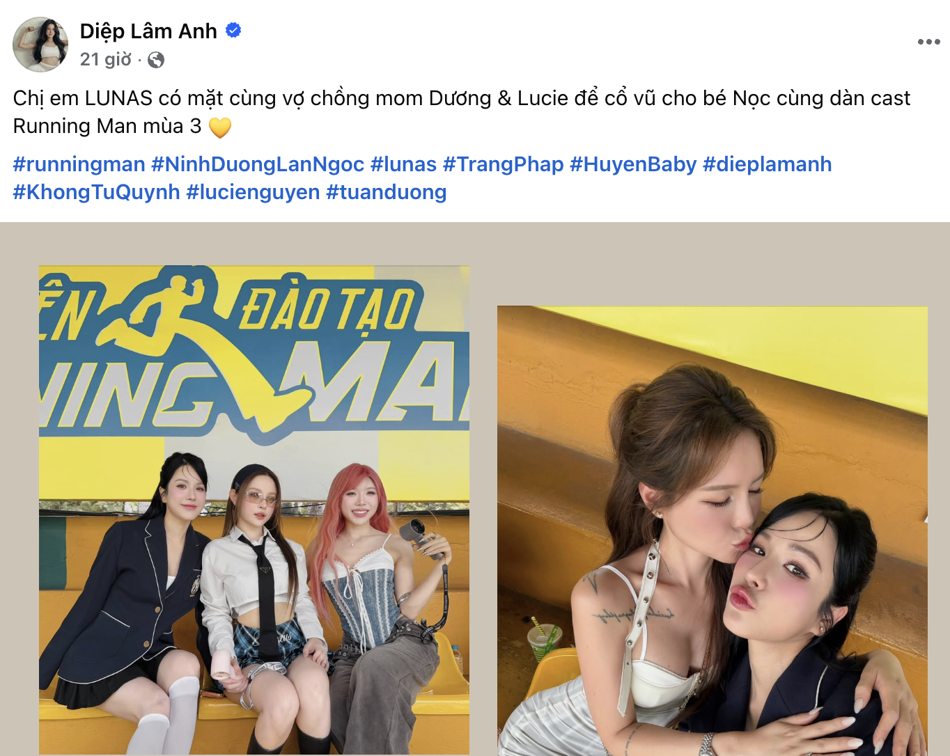 Diệp Lâm Anh đã làm gì Lan Ngọc mà bị chỉ trích đến mức này? - Ảnh 1.