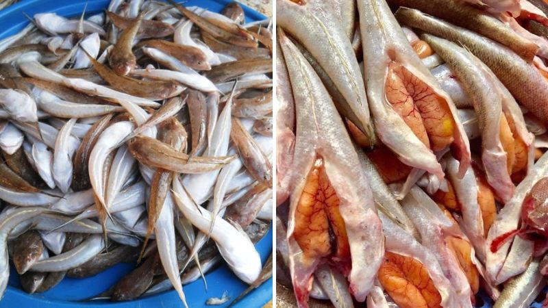 Loại cá &quot;nhà nghèo&quot; nhưng là đặc sản mang hương vị đậm đà được dân sành ăn săn lùng - Ảnh 3.