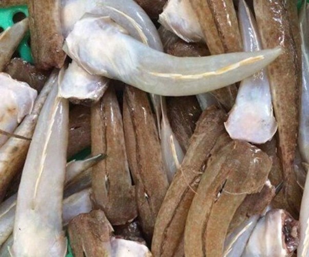 Loại cá &quot;nhà nghèo&quot; nhưng là đặc sản mang hương vị đậm đà được dân sành ăn săn lùng - Ảnh 2.