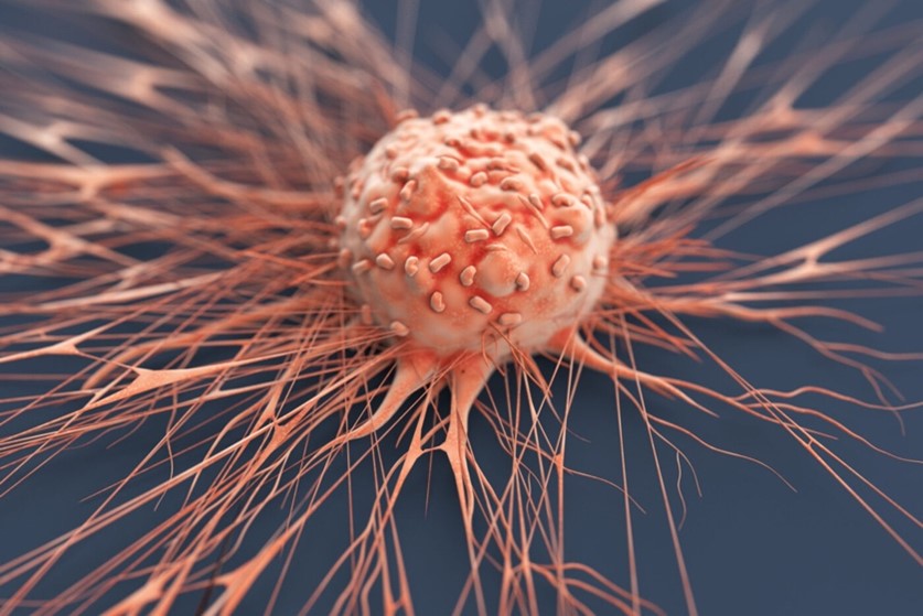 Ung thư không lây nhiễm? Các bác sĩ cảnh báo: Đừng ăn mừng quá sớm, 3 loại &quot;virus gây ung thư&quot; có thể lây truyền từ người sang người- Ảnh 2.