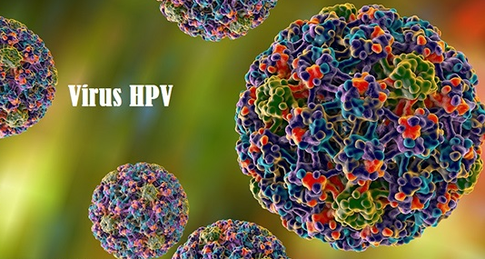 Ung thư không lây nhiễm? Các bác sĩ cảnh báo: Đừng ăn mừng quá sớm, 3 loại &quot;virus gây ung thư&quot; có thể lây truyền từ người sang người- Ảnh 3.