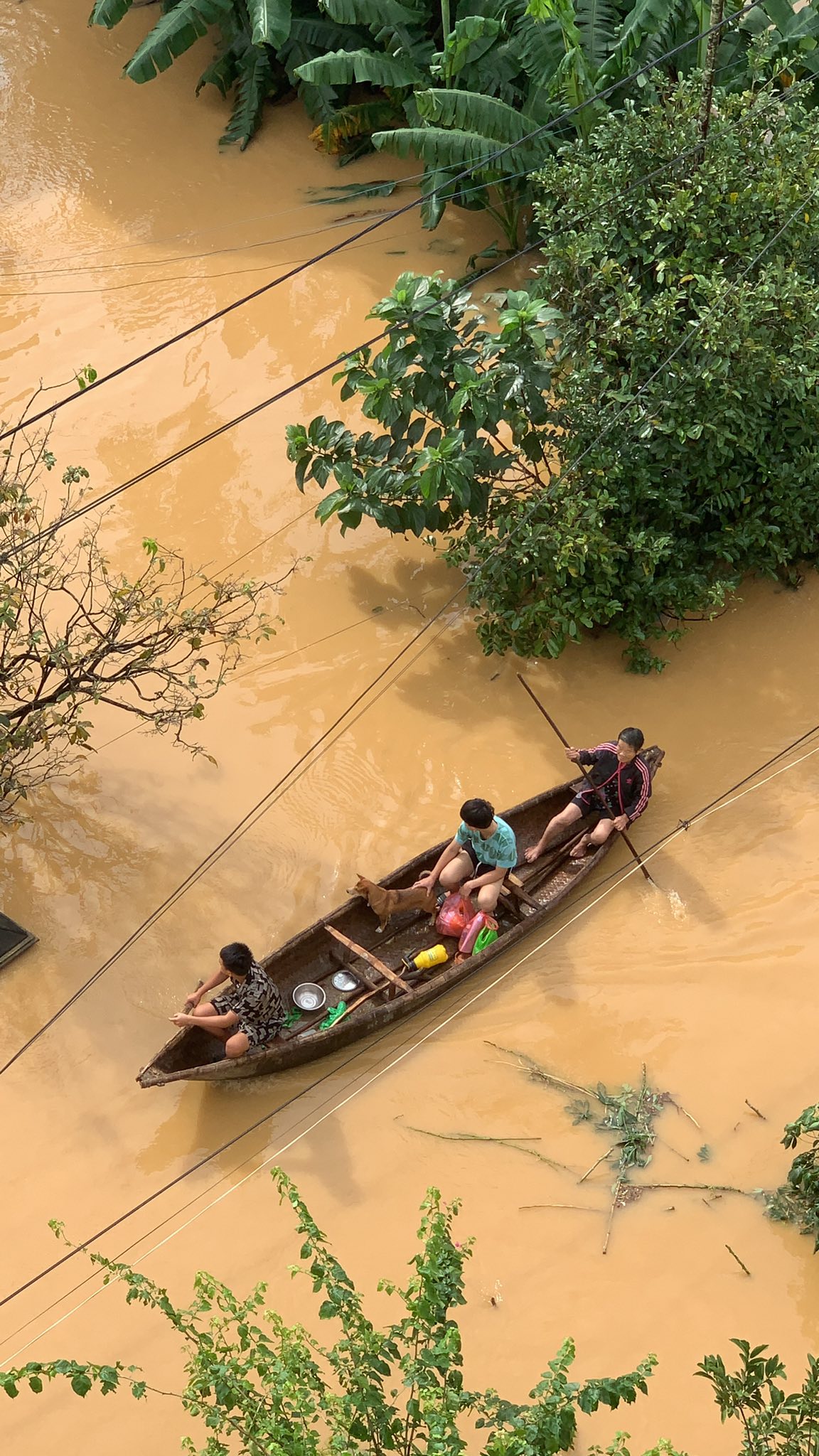 Nắng lên nhưng nhiều nhà dân ở Đà Nẵng vẫn đang ngập nặng sau mưa lớn - Ảnh 8. Nắng lên nhưng nhiều nhà dân ở Đà Nẵng vẫn đang ngập nặng sau mưa lớn - Ảnh 8.