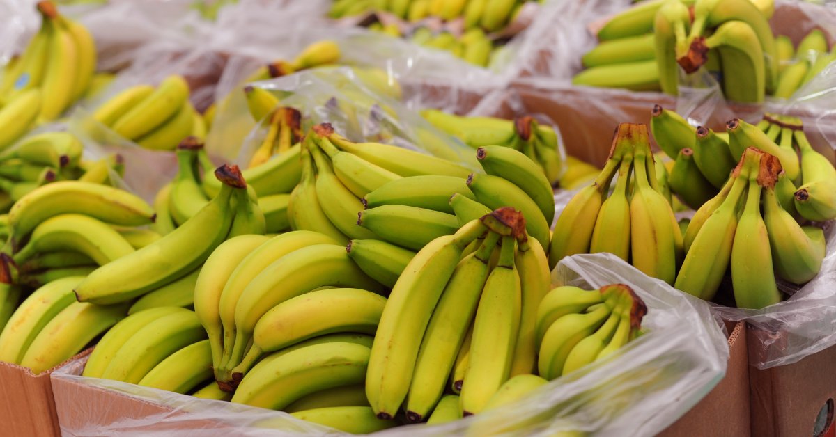 Việt Nam sở hữu “trái cây hạnh phúc” chinh phục Nhật Bản, hút mạnh thị trường Trung Quốc - Ảnh 1. Việt Nam sở hữu “trái cây hạnh phúc” chinh phục Nhật Bản, hút mạnh thị trường Trung Quốc - Ảnh 1.