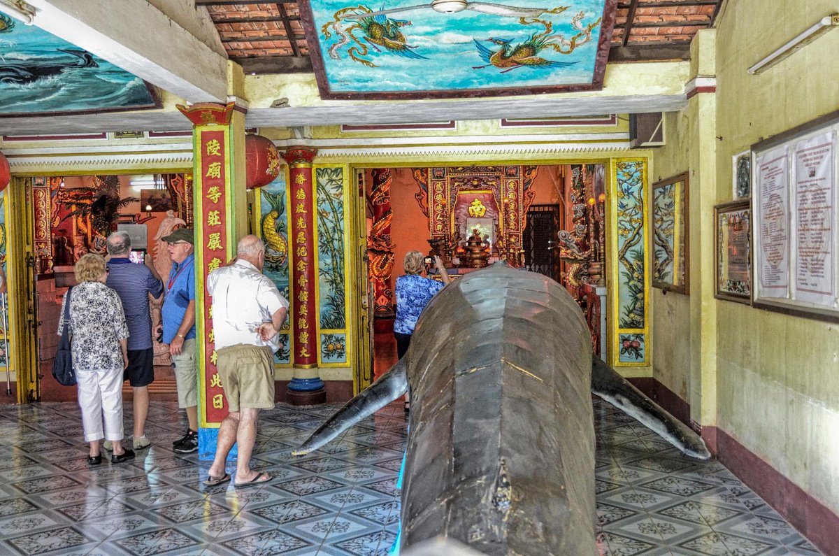 Cá ông dạt vào bờ biển là điềm tốt hay xấu? Ngư dân 40 năm đưa ra giải thích cho những ai chưa biết- Ảnh 10. Cá ông dạt vào bờ biển là điềm tốt hay xấu? Ngư dân 40 năm đưa ra giải thích cho những ai chưa biết- Ảnh 10.