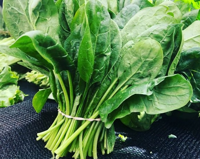 Hướng dẫn chọn thực phẩm giảm cân mùa đông: 10 nguyên liệu ít calo, giàu chất xơ vừa ngon miệng lại giảm cân lành mạnh - Ảnh 6. Hướng dẫn chọn thực phẩm giảm cân mùa đông: 10 nguyên liệu ít calo, giàu chất xơ vừa ngon miệng lại giảm cân lành mạnh - Ảnh 6.