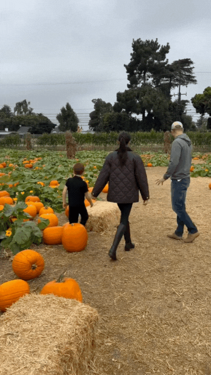 Meghan Markle tung video hiếm: Hai con Archie – Lilibet vui chơi giữa nông trại, Vương tử Harry “thợ khắc bí ngô” chính hiệu!- Ảnh 2. Meghan Markle tung video hiếm: Hai con Archie – Lilibet vui chơi giữa nông trại, Vương tử Harry “thợ khắc bí ngô” chính hiệu!- Ảnh 2.