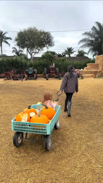 Meghan Markle tung video hiếm: Hai con Archie – Lilibet vui chơi giữa nông trại, Vương tử Harry “thợ khắc bí ngô” chính hiệu!- Ảnh 5. Meghan Markle tung video hiếm: Hai con Archie – Lilibet vui chơi giữa nông trại, Vương tử Harry “thợ khắc bí ngô” chính hiệu!- Ảnh 5.