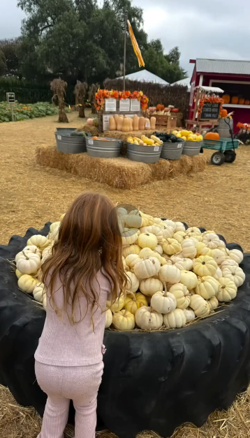 Meghan Markle tung video hiếm: Hai con Archie – Lilibet vui chơi giữa nông trại, Vương tử Harry “thợ khắc bí ngô” chính hiệu!- Ảnh 4. Meghan Markle tung video hiếm: Hai con Archie – Lilibet vui chơi giữa nông trại, Vương tử Harry “thợ khắc bí ngô” chính hiệu!- Ảnh 4.