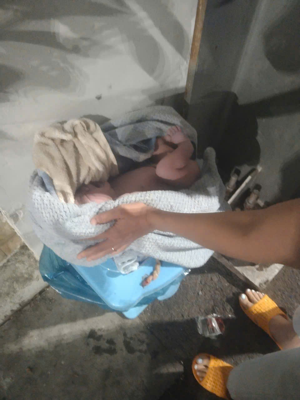 - Ảnh 1.  - Ảnh 1.