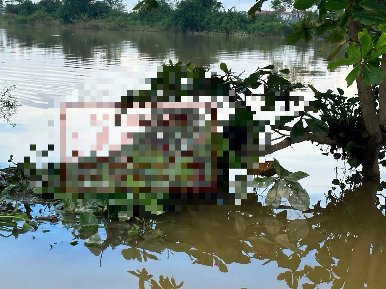 Phát hiện thi thể mắc trên cành cây giữa ruộng - Ảnh 1. Phát hiện thi thể mắc trên cành cây giữa ruộng  - Ảnh 1.