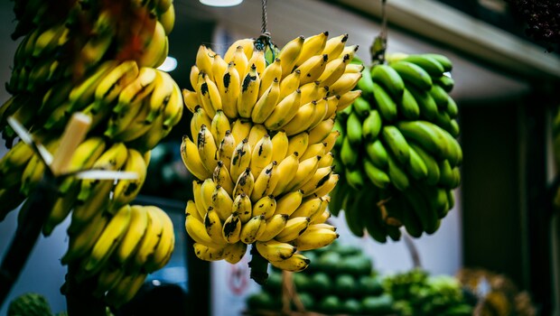 c180jfogbanana-weight-loss625x30026september25-17594810934481537197427-1759540486307-1759540486437943036225.jpg