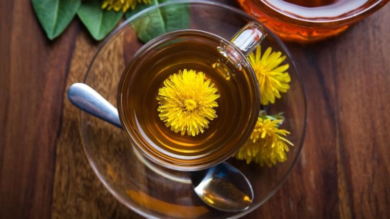 Hoa bồ công anh và lá dùng để pha trà giải độc cơ thể