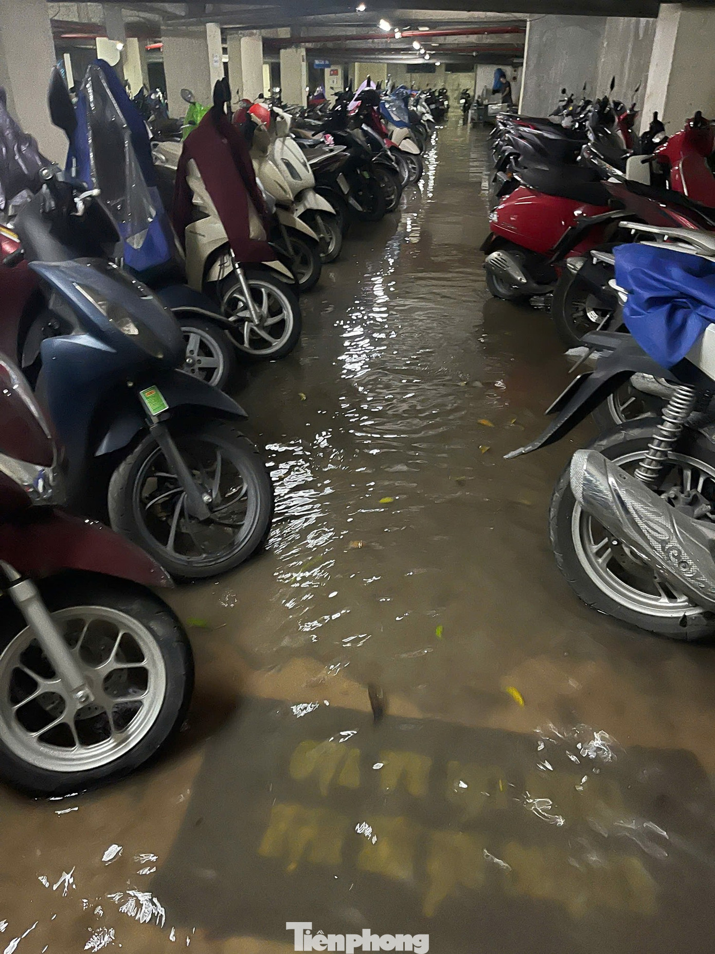 Hầm chung cư thành bể nước khổng lồ, thủy kích hàng trăm xe máy và ôtô - Ảnh 6.