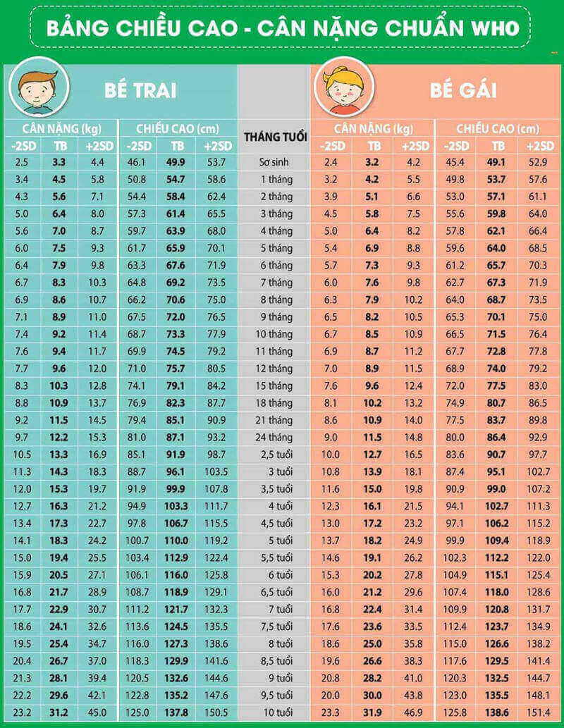Dinh dưỡng cho trẻ thiếu cân, suy dinh dưỡng cần lưu ý những gì?- Ảnh 1.