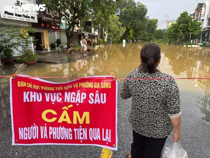 Con gái bật khóc tìm cha mẹ già mất liên lạc giữa tứ bề ngập lụt - Ảnh 3.