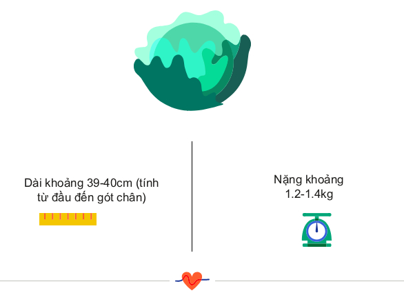 Tuần thai thứ 30: Xương bé phát triển chắc khoẻ, mẹ đau người và mệt mỏi hơn về cuối thai kỳ- Ảnh 3.
