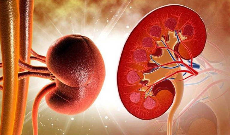 Người cha có phản ứng ngọt ngào khi biết người hiến thận cho mình là cô con gái 24 tuổi mà ông không nghĩ tới- Ảnh 5. Người cha có phản ứng ngọt ngào khi biết người hiến thận cho mình là cô con gái 24 tuổi mà ông không nghĩ tới- Ảnh 5.