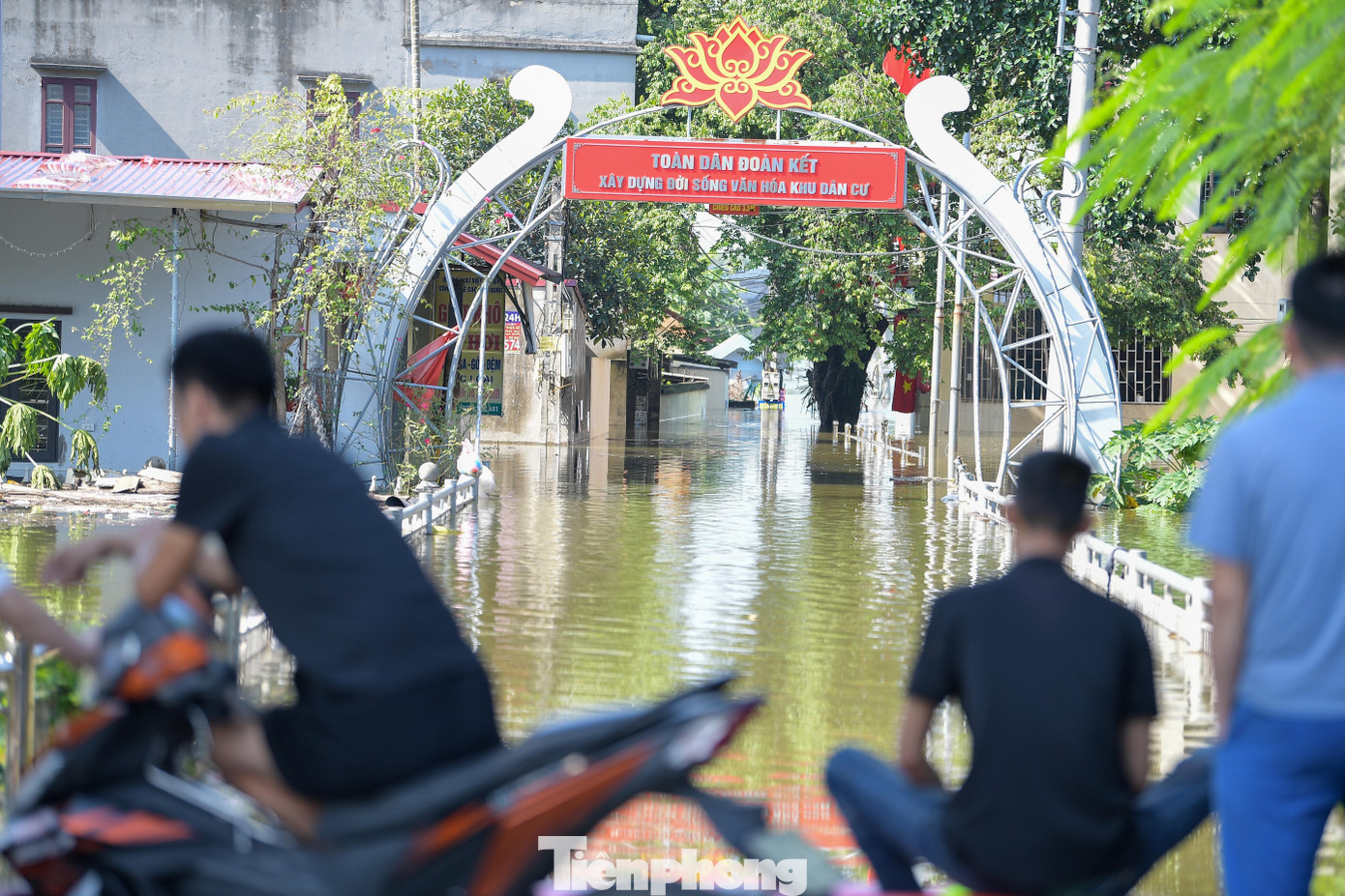 Biệt thự chìm trong biển nước, làng Quả Cảm thành ‘ốc đảo’ giữa Bắc Ninh - Ảnh 12.
