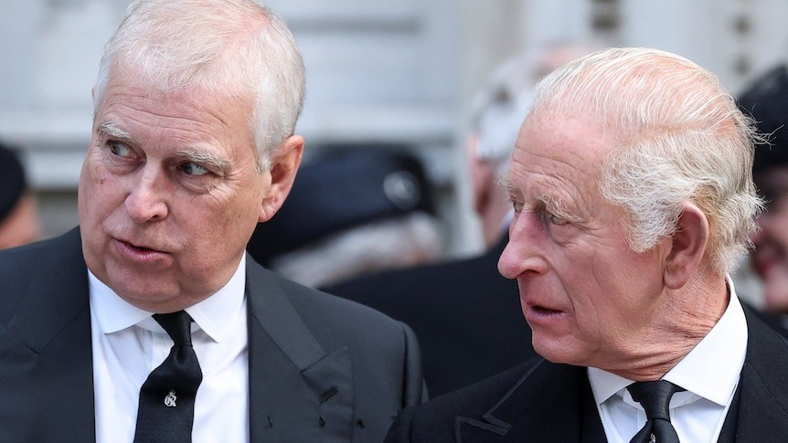 Hoàng tử Andrew bị tước bỏ danh hiệu - Ảnh 3. Hoàng tử Andrew bị tước bỏ danh hiệu - Ảnh 3.