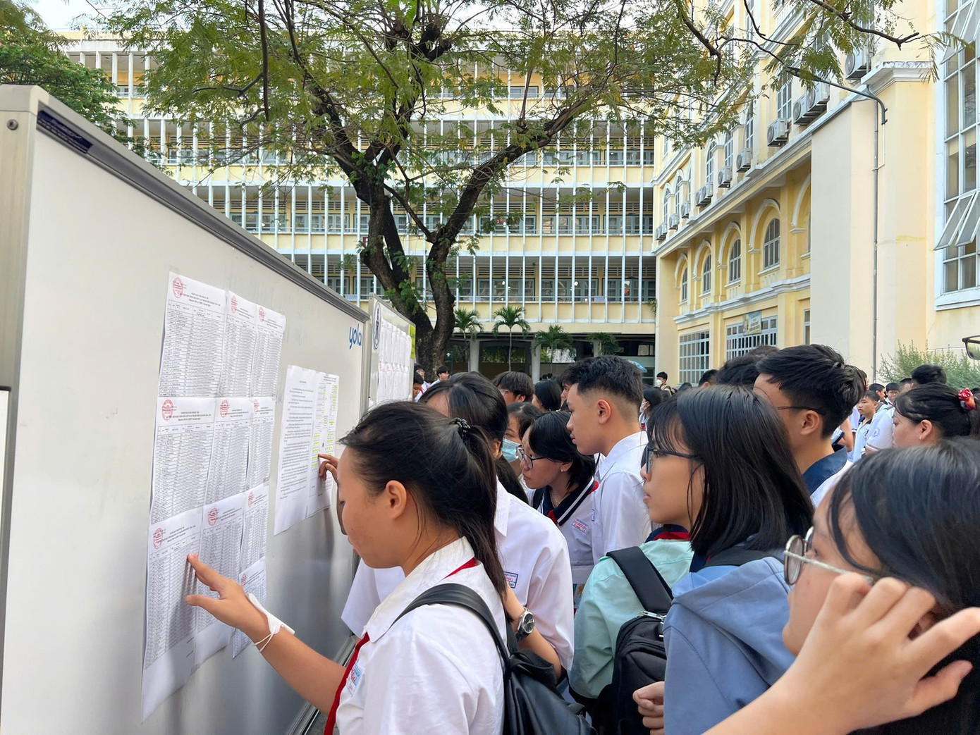 Thay đổi lớn trong thi học sinh giỏi tại TPHCM - Ảnh 1. Thay đổi lớn trong thi học sinh giỏi tại TPHCM - Ảnh 1.