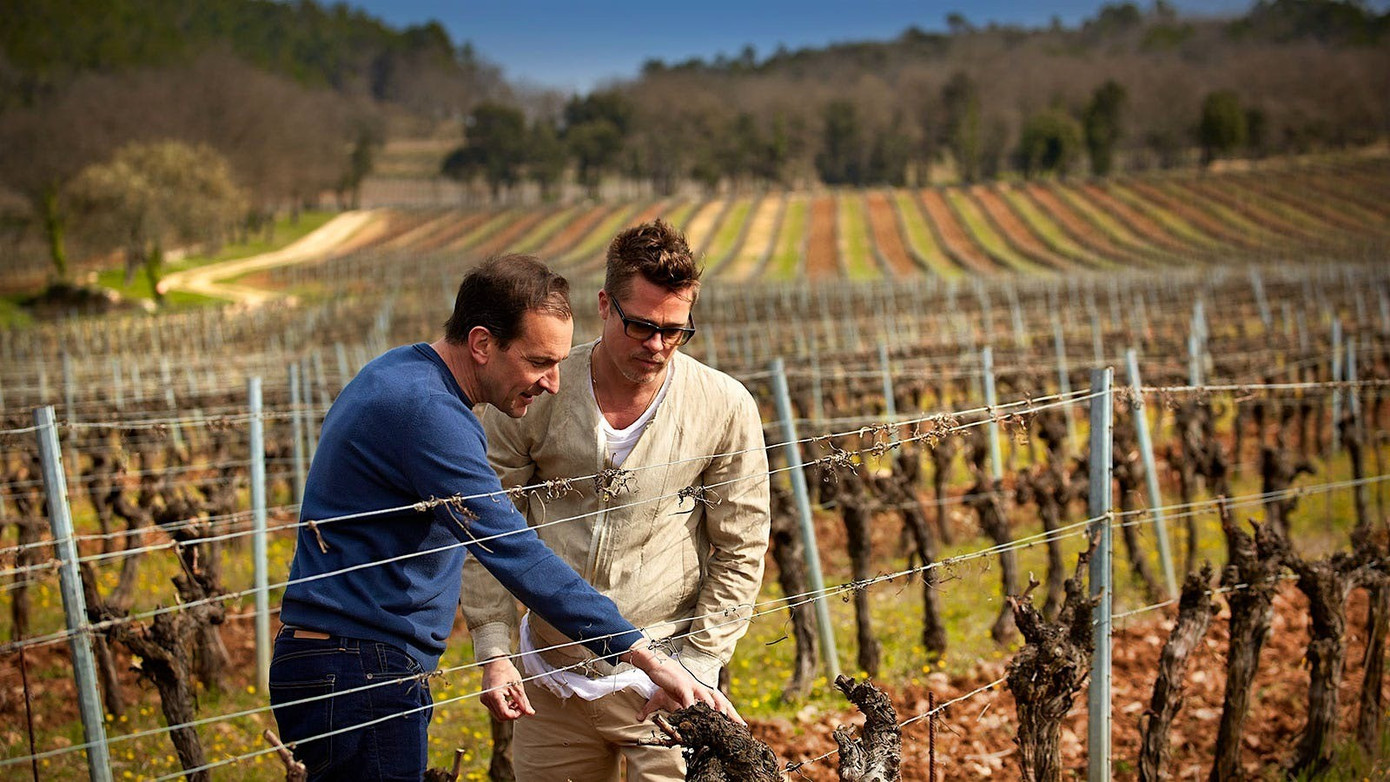 Brad Pitt tung đòn chí mạng vào Angelina Jolie - Ảnh 4.