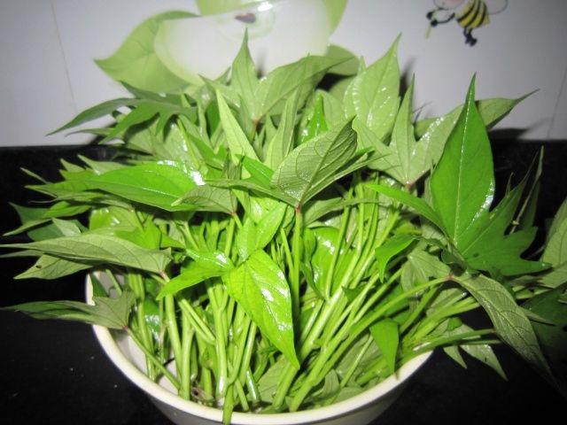 Thứ từng được coi là &quot;thức ăn cho heo&quot; giờ đây lại là &quot;rau chống ung thư&quot; đắt đỏ ở nước ngoài! Người Việt giờ cứ ra chợ thấy là phải mua ngay- Ảnh 2.