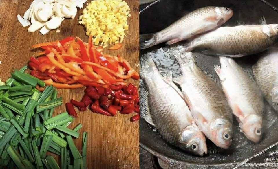 Người sành ăn sẽ ưu ái chọn 5 loại cá này vào mùa đông: Hương vị béo ngậy và ngon miệng lại rất dễ chế biến  - Ảnh 1.