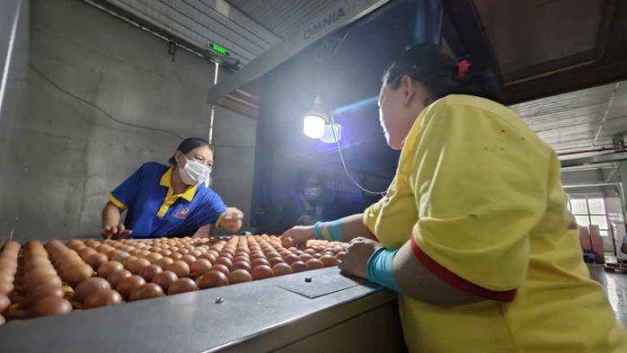 Ba Hu&acirc;n bị nợ thuế hơn 51 tỉ đồng v&agrave; những th&ocirc;ng tin cần biết - Ảnh 1.