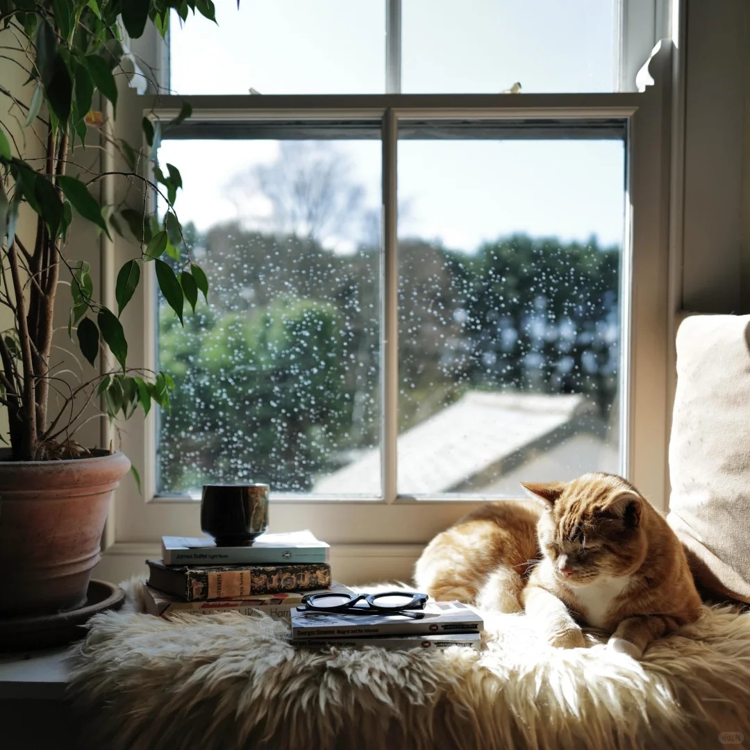 Cuộc sống mơ ước của người phụ nữ 47 tuổi bên bờ biển - Ảnh 5. Cuộc sống mơ ước của người phụ nữ 47 tuổi bên bờ biển - Ảnh 5.