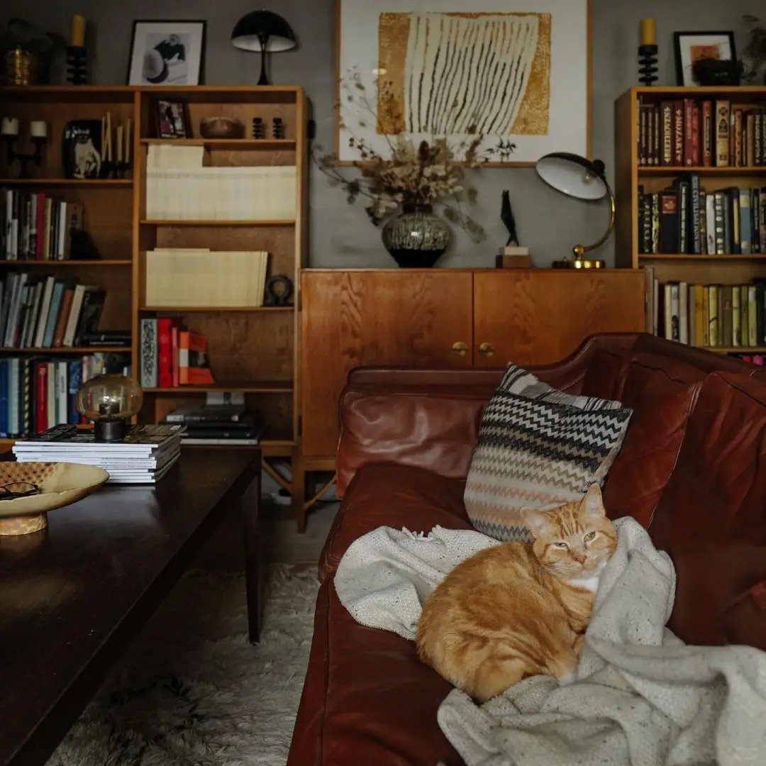 Cuộc sống mơ ước của người phụ nữ 47 tuổi bên bờ biển - Ảnh 7. Cuộc sống mơ ước của người phụ nữ 47 tuổi bên bờ biển - Ảnh 7.