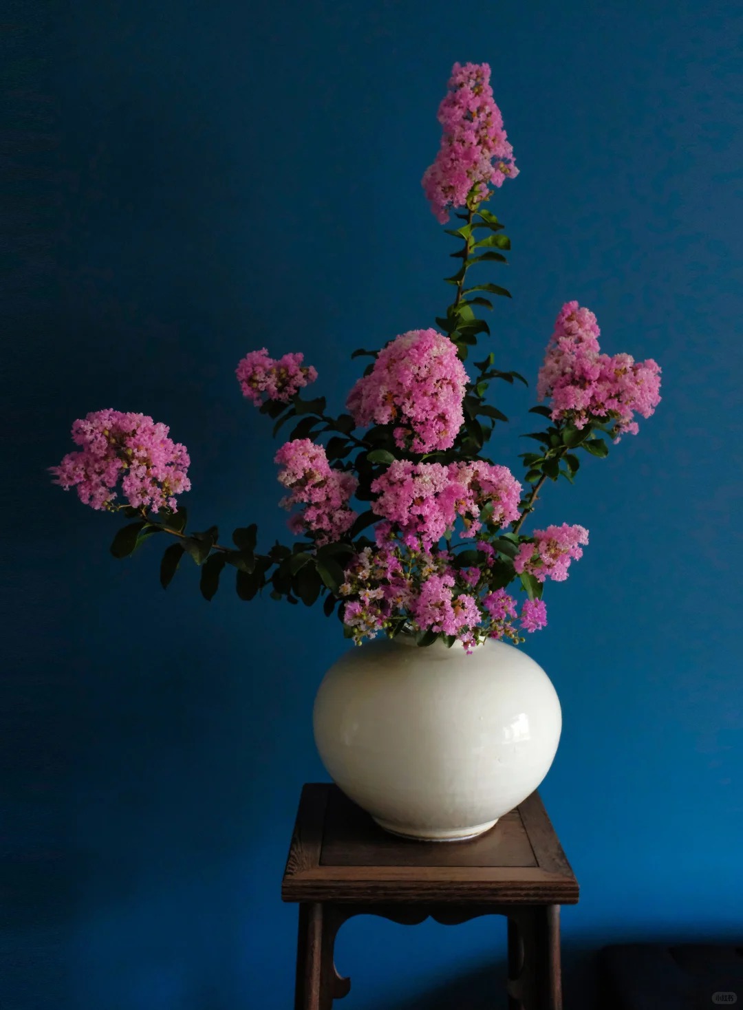 Mùa hoa tử vi này qua rồi, tôi cứ tiếc mãi: Chưng một bình trong nhà, phúc khí như tràn đầy, mọi sự an yên bền lâu - Ảnh 21. Mùa hoa tử vi này qua rồi, tôi cứ tiếc mãi: Chưng một bình trong nhà, phúc khí như tràn đầy, mọi sự an yên bền lâu - Ảnh 21.