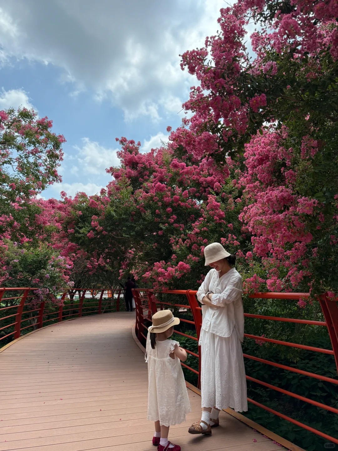 Mùa hoa tử vi này qua rồi, tôi cứ tiếc mãi: Chưng một bình trong nhà, phúc khí như tràn đầy, mọi sự an yên bền lâu - Ảnh 26. Mùa hoa tử vi này qua rồi, tôi cứ tiếc mãi: Chưng một bình trong nhà, phúc khí như tràn đầy, mọi sự an yên bền lâu - Ảnh 26.