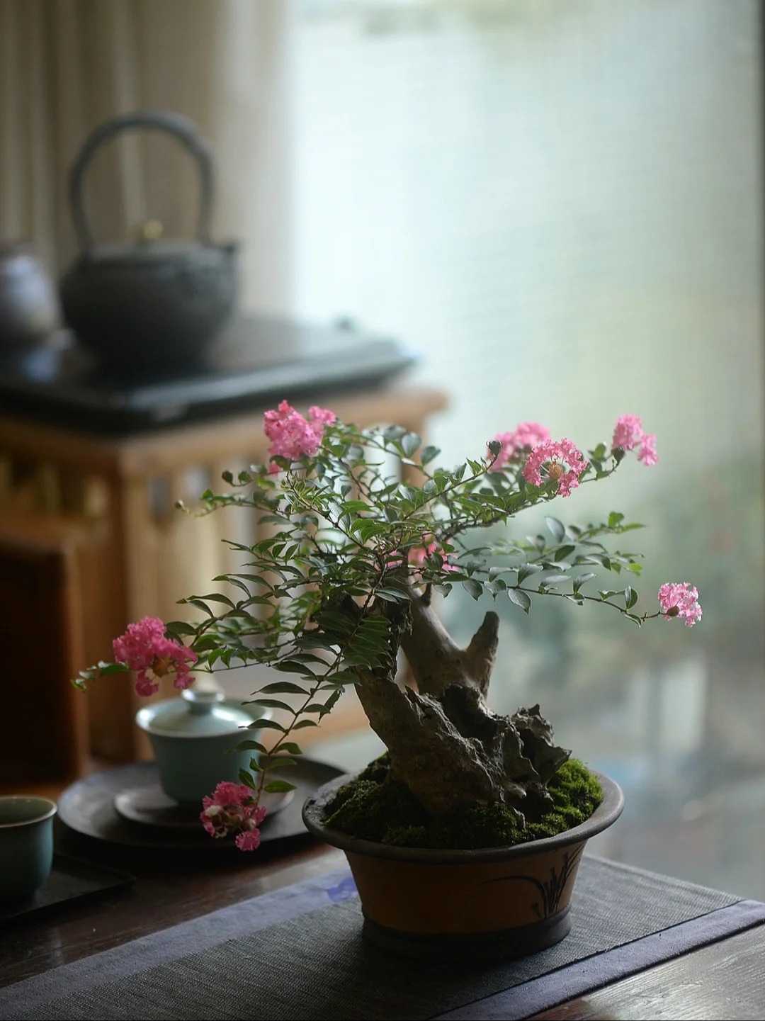 Mùa hoa tử vi này qua rồi, tôi cứ tiếc mãi: Chưng một bình trong nhà, phúc khí như tràn đầy, mọi sự an yên bền lâu - Ảnh 22. Mùa hoa tử vi này qua rồi, tôi cứ tiếc mãi: Chưng một bình trong nhà, phúc khí như tràn đầy, mọi sự an yên bền lâu - Ảnh 22.