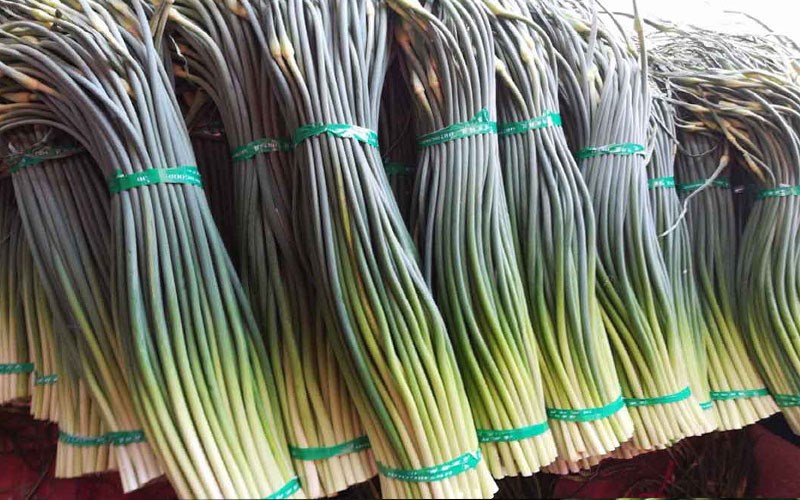 Loại rau này đang vào mùa, đầy ngoài chợ: Dùng nấu món ăn thơm phức, giòn tan lại phòng cúm và ngừa ung thư - Ảnh 1. Loại rau này đang vào mùa, đầy ngoài chợ: Dùng nấu món ăn thơm phức, giòn tan lại phòng cúm và ngừa ung thư - Ảnh 1.