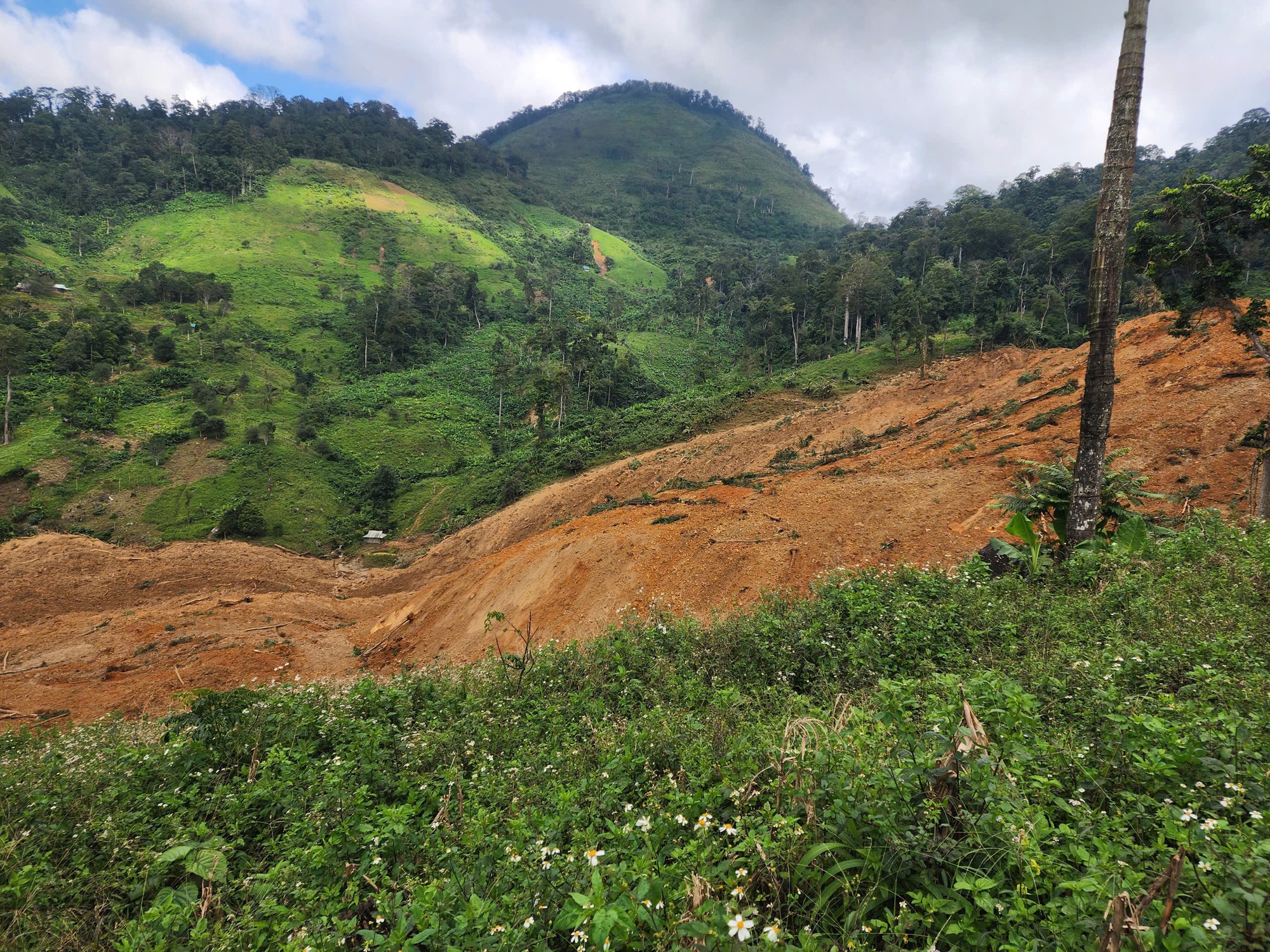 Sạt lở kinh hoàng ở vùng cao Đà Nẵng, 7 người mất liên lạc - Ảnh 1.