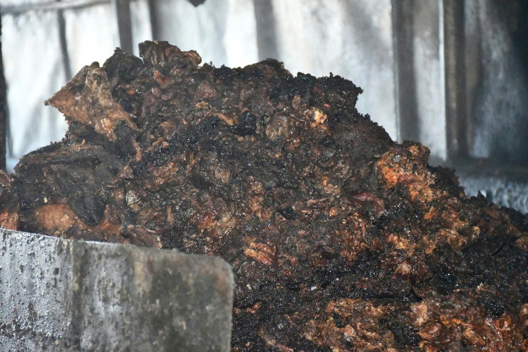 Công an Đà Nẵng phát hiện cơ sở chế biến mỡ động vật trái phép trong nghĩa trang - Ảnh 5. Công an Đà Nẵng phát hiện cơ sở chế biến mỡ động vật trái phép trong nghĩa trang - Ảnh 5.