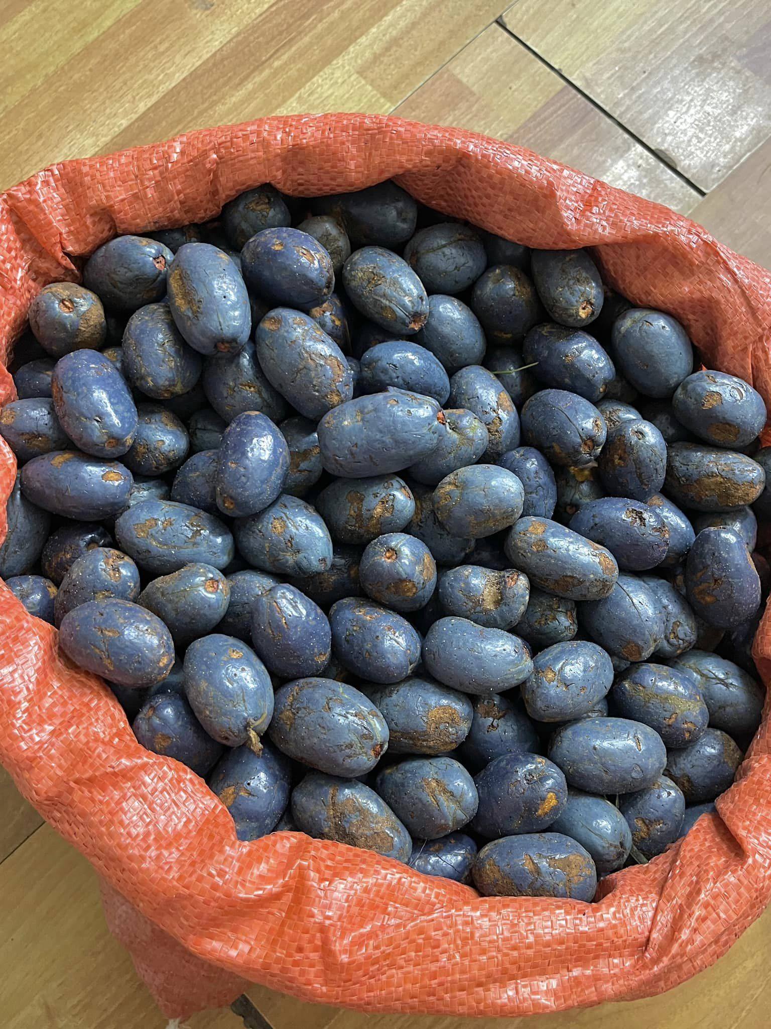 Thứ quả xanh đen là đặc sản chỉ Phú Thọ mới có, rẻ tiền nhưng khó mua - Ảnh 3.