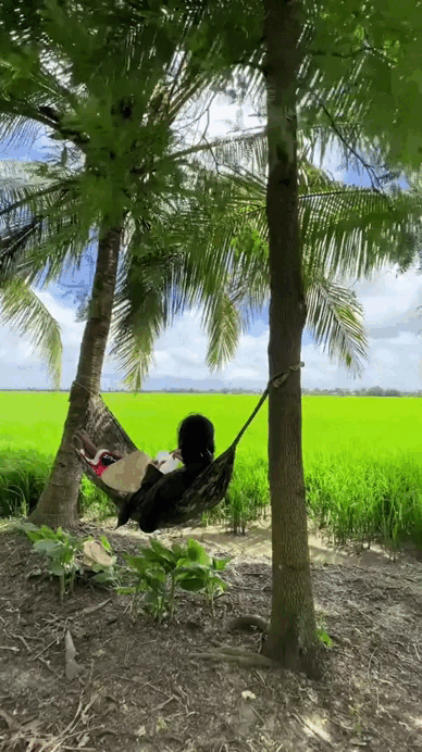 Đặc sản chỉ có ở miền Tây, cả nước không hiểu vì sao lại Đặc sản chỉ có ở miền Tây, cả nước không hiểu vì sao lại