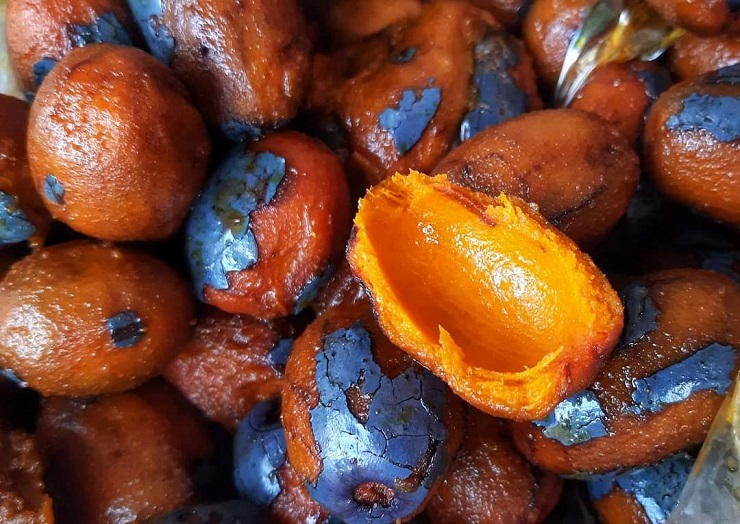 Thứ quả xanh đen là đặc sản chỉ Phú Thọ mới có, rẻ tiền nhưng khó mua - Ảnh 6.