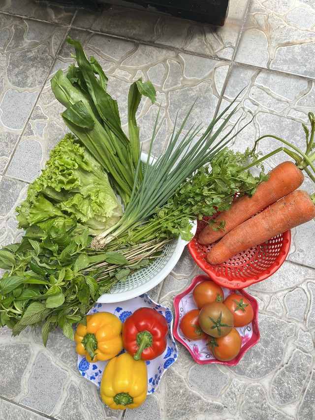 Giá rau hot nhất lúc này- Ảnh 1. Giá rau hot nhất lúc này- Ảnh 1.