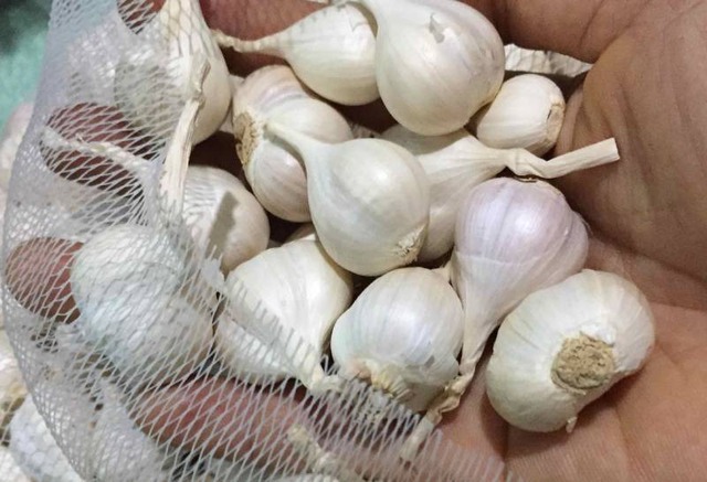 ĐỪNG bao giờ cho 5 thứ này vào tủ lạnh nếu không muốn ăn phải độc tố- Ảnh 3.