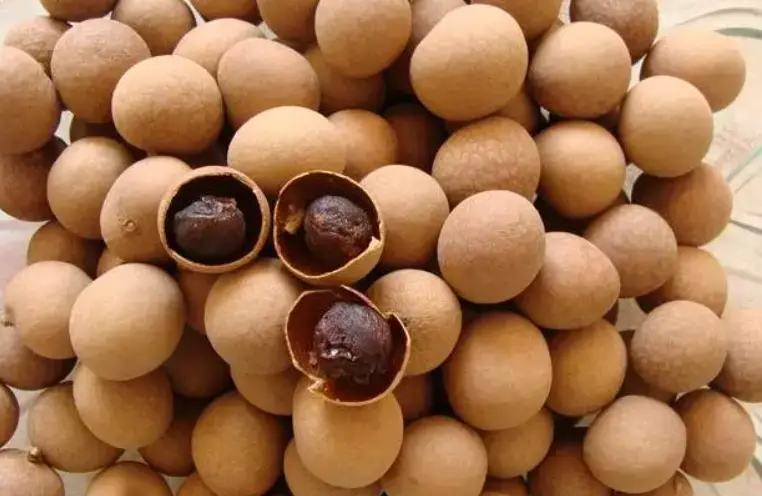 Vào mùa đông, dù giàu hay nghèo cũng nên ăn 8 thực phẩm được coi là