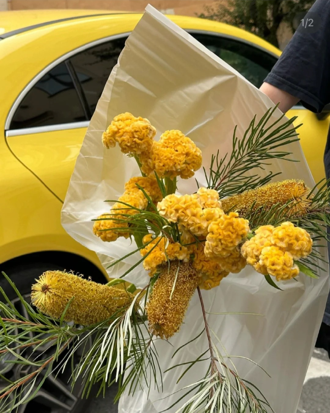 Hoa mào gà: Tưởng quê mùa mà cắm lên lại sang rực rỡ, chơi Tết đẹp mê và hút phú quý vào nhà - Ảnh 21. Hoa mào gà: Tưởng quê mùa mà cắm lên lại sang rực rỡ, chơi Tết đẹp mê và hút phú quý vào nhà - Ảnh 21.