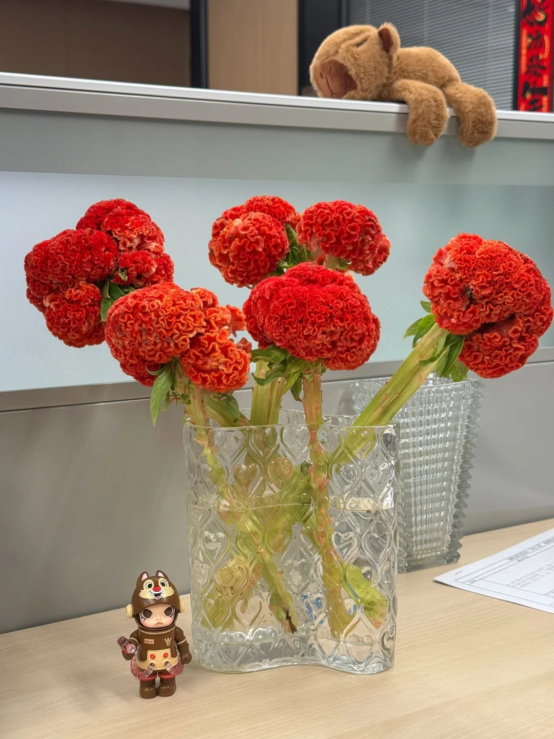 Hoa mào gà: Tưởng quê mùa mà cắm lên lại sang rực rỡ, chơi Tết đẹp mê và hút phú quý vào nhà - Ảnh 17. Hoa mào gà: Tưởng quê mùa mà cắm lên lại sang rực rỡ, chơi Tết đẹp mê và hút phú quý vào nhà - Ảnh 17.