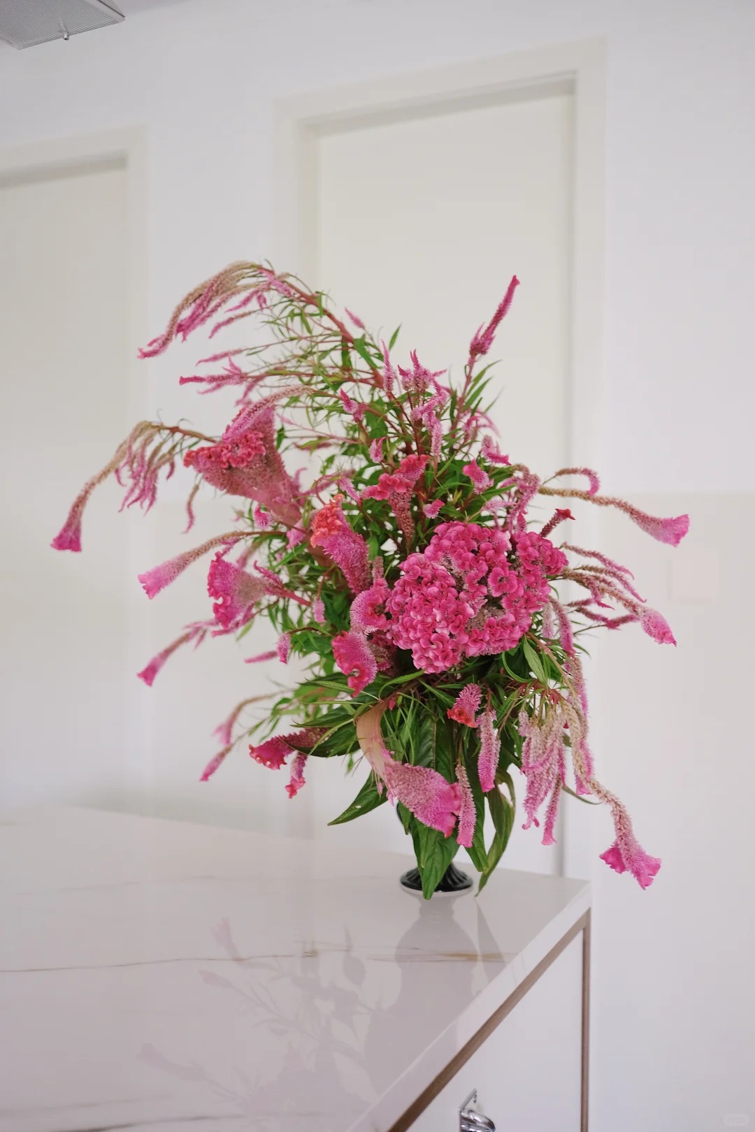 Hoa mào gà: Tưởng quê mùa mà cắm lên lại sang rực rỡ, chơi Tết đẹp mê và hút phú quý vào nhà - Ảnh 7. Hoa mào gà: Tưởng quê mùa mà cắm lên lại sang rực rỡ, chơi Tết đẹp mê và hút phú quý vào nhà - Ảnh 7.