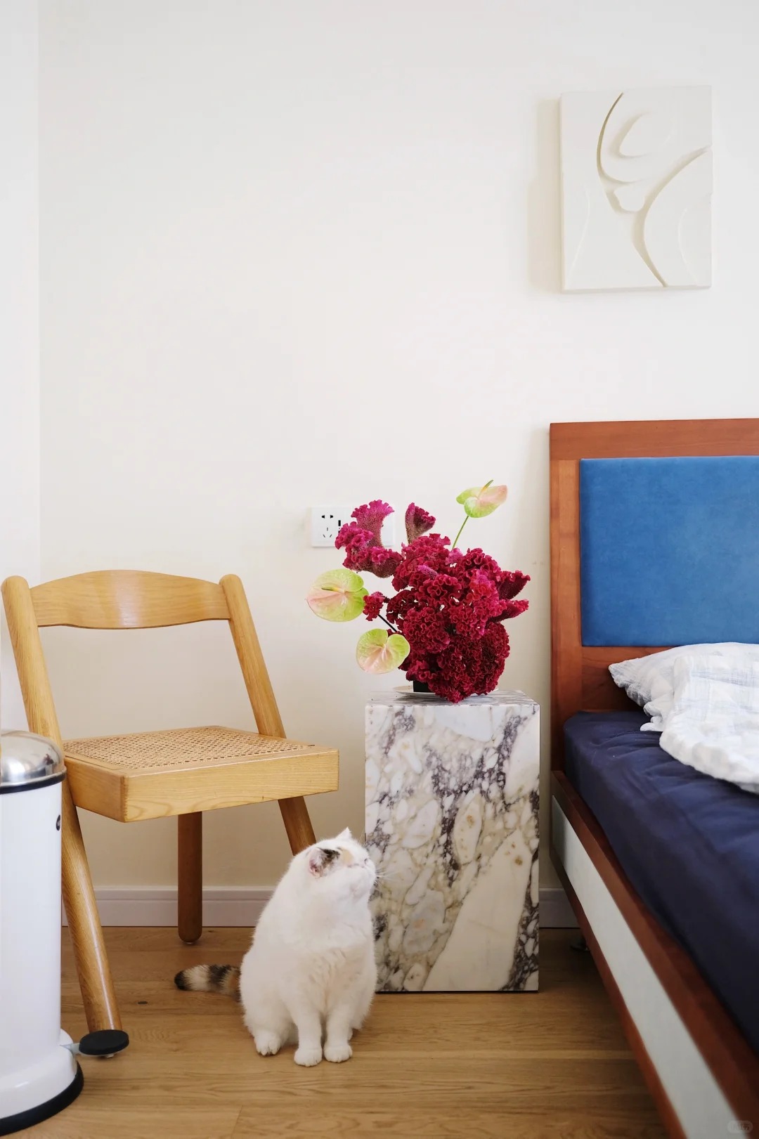 Hoa mào gà: Tưởng quê mùa mà cắm lên lại sang rực rỡ, chơi Tết đẹp mê và hút phú quý vào nhà - Ảnh 14. Hoa mào gà: Tưởng quê mùa mà cắm lên lại sang rực rỡ, chơi Tết đẹp mê và hút phú quý vào nhà - Ảnh 14.